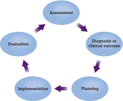 Phases of the nursing process. Source: Reproduced from Weber and Kelley () with permission of Lippincott Williams & Wilkins.