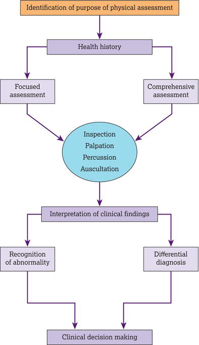 Physical assessment framework. Source: Reproduced from Baid () with permission of MA Healthcare Limited.