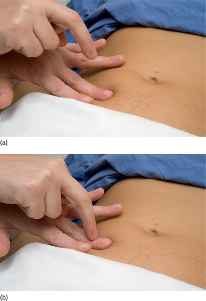 Percussion technique during abdominal examination.