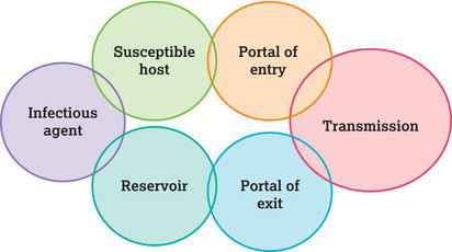 The chain of infection: a useful tool for seeing how to prevent transmission.