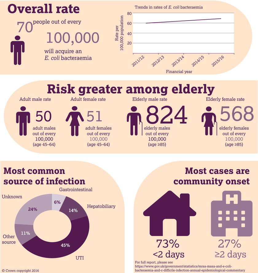 
E. coli bacteraemia rates in England, 2015/2016. 
Source: NHS Improvement (). © Crown copyright.