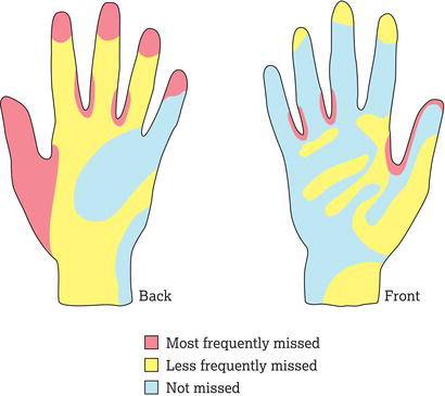 Taylor's work in 1978 showed the areas most commonly missed following hand washing – in particular, the thumbs, especially on the dominant hand and in