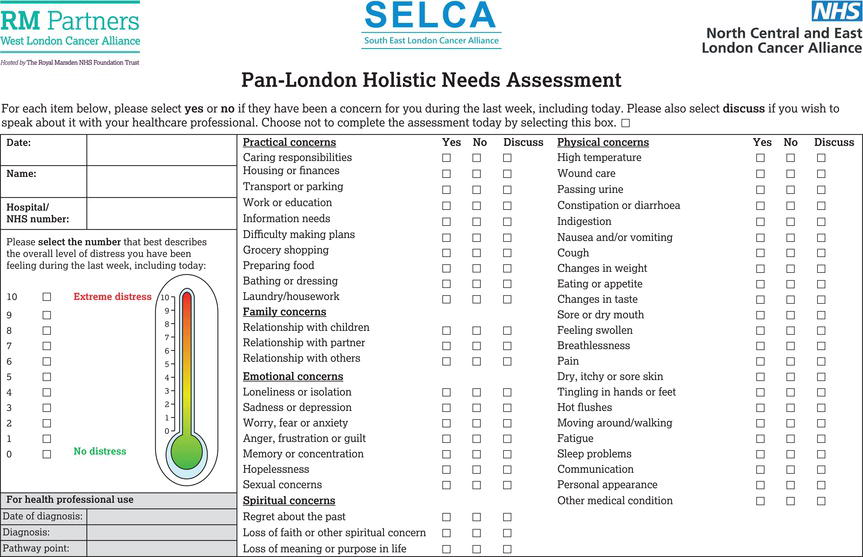 The London Holistic Needs Assessment tool. 
Source: Reproduced with permission from North Central and East London Cancer Alliance, RM Partners and SEL