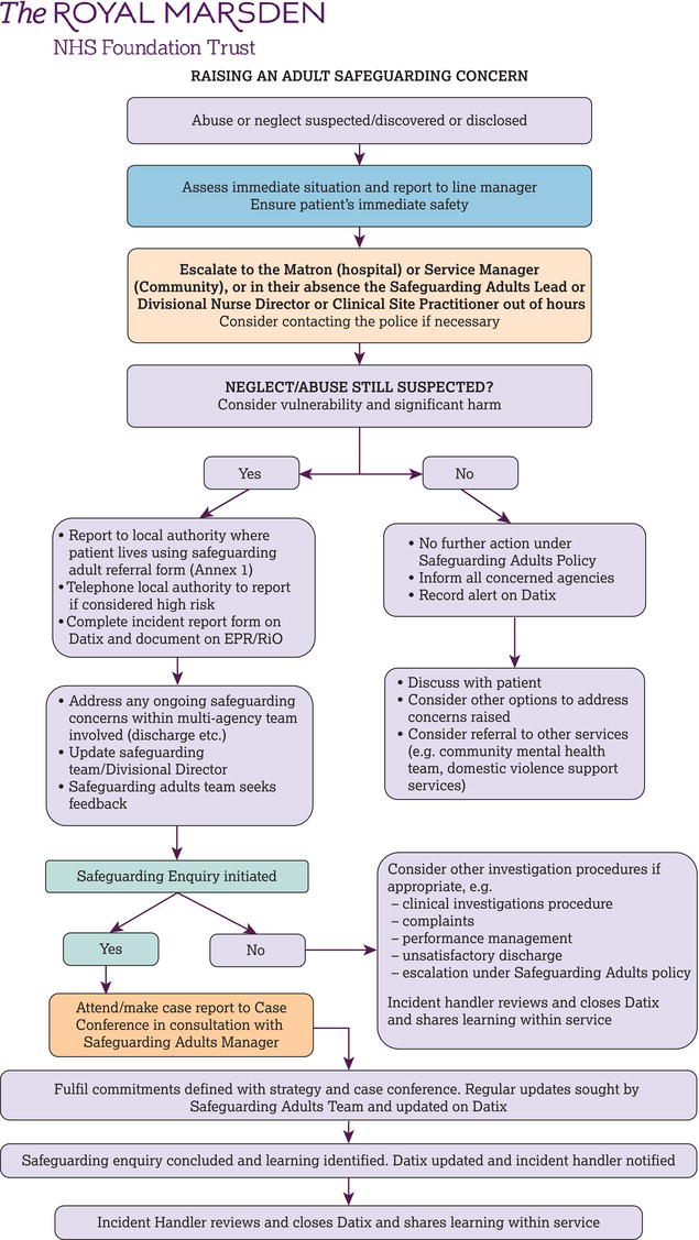 Example of a safeguarding protocol. 
Source: Reproduced with permission of the Royal Marsden NHS Foundation Trust.