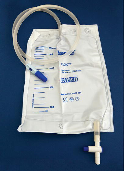 Urinary catheter bag: large.