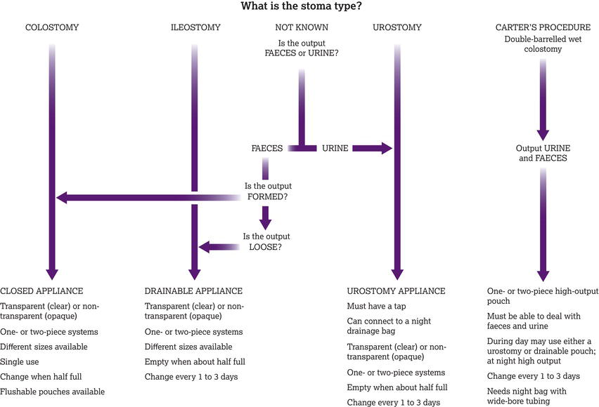 Flow chart for choosing appliances: International Ostomy Forum Group () Observation Index. Source: Reproduced with permission of Dansac Ltd.