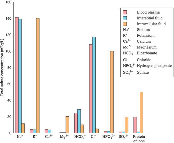 Electrolyte composition of blood plasma, interstitial fluid and intracellular fluid. Source: Reproduced with permission of Pearson.