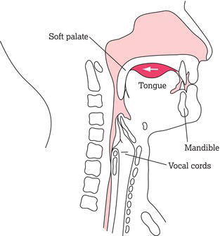 The oral stage of swallowing.