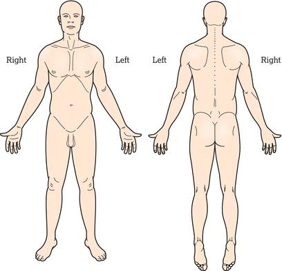 Body diagram used for pain assessment.