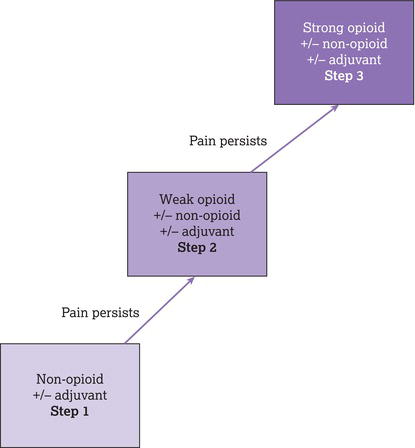 The WHO analgesic ladder.