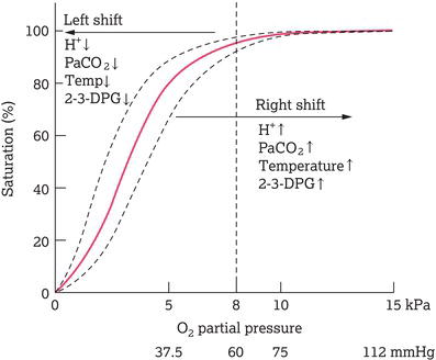 Oxyhaemoglobin dissociation curve. With a PaO2 of 8 kPa and more, saturations will remain high (flat portion of curve). The middle red line is the nor