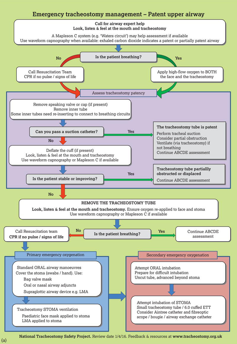 (a) Emergency tracheostomy management algorithm. (b) Emergency laryngectomy management algorithm. 
Source: Reproduced with permission from the Nationa