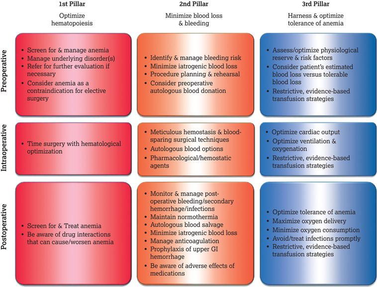 The pillars of patient blood management. 
Source: Reproduced from Shander et al. () with permission of John Wiley & Sons.