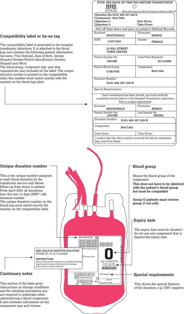 A guide to the necessary elements of blood pack labelling.