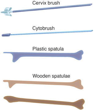 Types of device used for sampling the cervix.