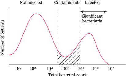 Significant bacteriuria. Specimens of urine are rarely sterile. A cut‐off point is identified to distinguish true infection (significant bacteriuria) 