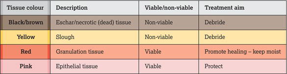 Wound healing continuum.