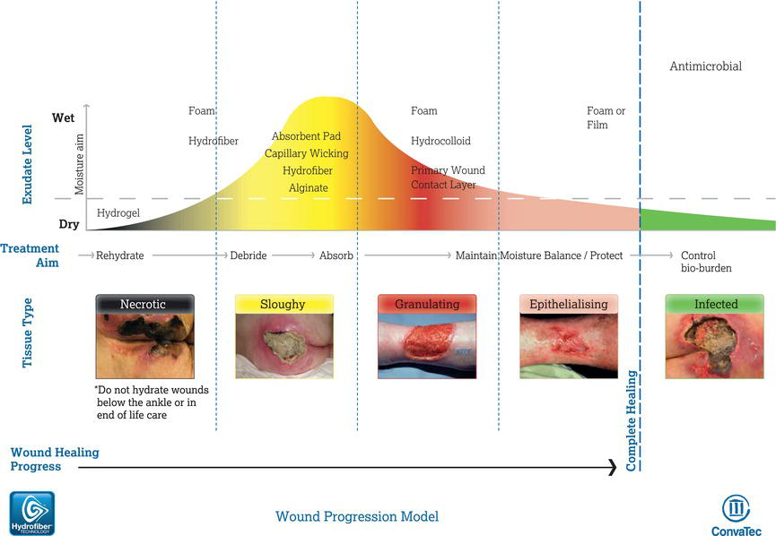 Treatment aims and dressing selection guide. 
Source: Reproduced from University College London Hospitals NHS Foundation Trust () with permission of U