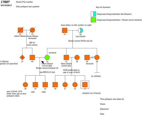 Family tree or pedigree.