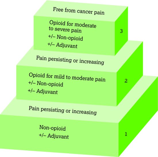 The WHO analgesic ladder. Source: World Health Organization (). Reproduced with permission of WHO.