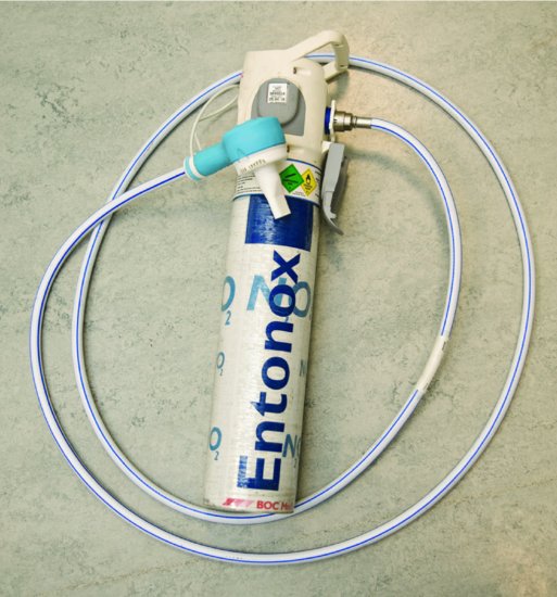 Entonox cylinder and hose. Source: Dougherty and Lister ().