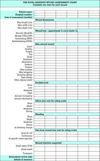 continued Wound assessment chart. Source: Dougherty and Lister ().