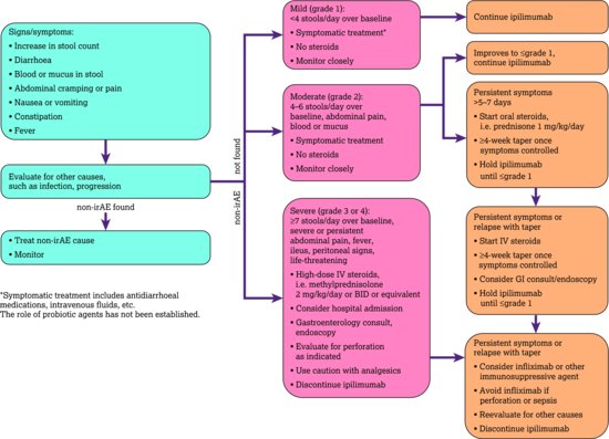 The immune‐related adverse event (irAE) gastrointestinal management algorithm. Source: Fecher et al. (). Reproduced with permission of AlphaMed Press,