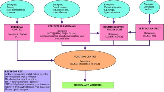 The emetogenic pathway. Source: Harris (). Reproduced with permission of Oxford University Press, permission conveyed through Copyright Clearance Cent