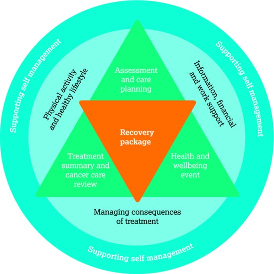 The recovery package. Source: Macmillan Cancer Support (). © Macmillan Cancer Support 2013.