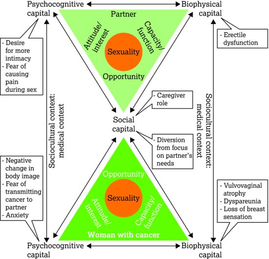 Interactive biopsychosocial model of sexuality in the context of cancer, with examples in each domain that influence sexuality. Source: Lindau et al. 