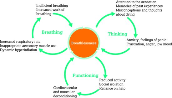 A model of how breathing, thinking and functioning affect breathlessness. Source: Adapted from Spathis et al. (). Reproduced with kind permission from