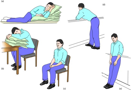 The five recommended resting positions. Source: Dougherty and Lister ().