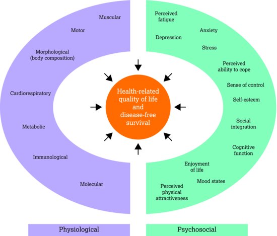 Components of health‐related fitness. Source: Saxton and Daley (). Reproduced with permission of Springer Science + Business Media