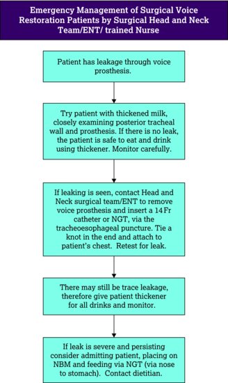 Emergency management of a dislodged voice prosthesis. Source: Speech and Language Therapy Department, Royal Marsden Hospital NHS Foundation Trust. NG,