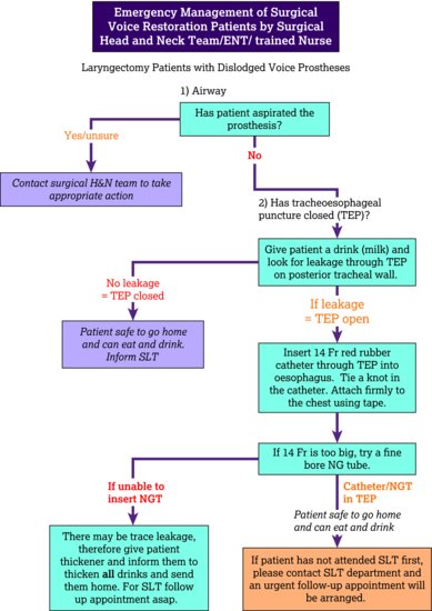 Emergency management of a leaking voice prosthesis. Source: Speech and Language Therapy Department, Royal Marsden Hospital NHS Foundation Trust. ENT, 